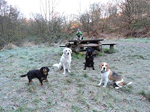 January 2017 Photo 26